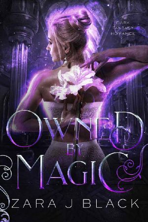 [Ruled by Magic 02] • Owned by Magic